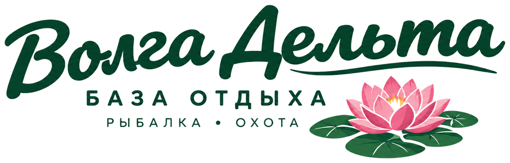 Волга-Дельта